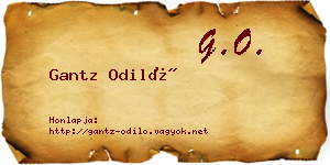 Gantz Odiló névjegykártya